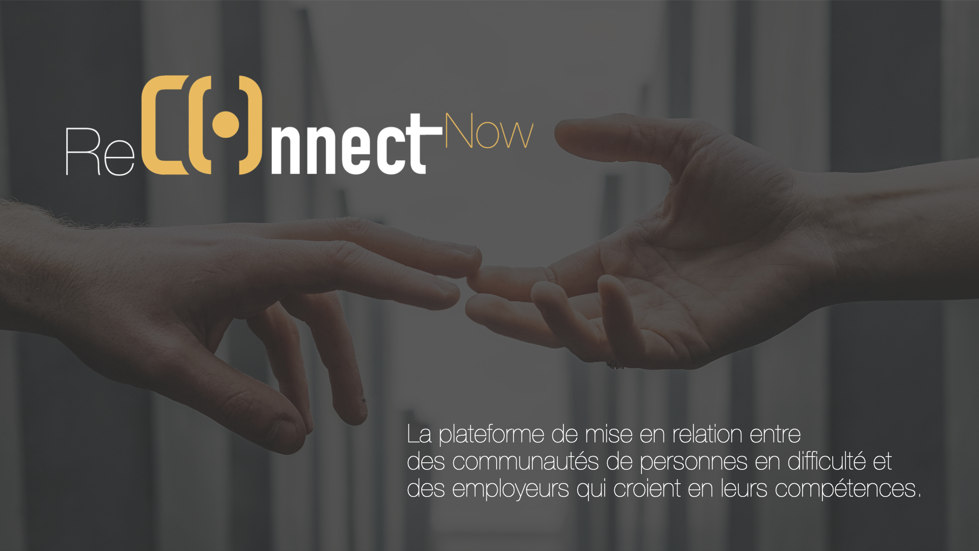 ReConnect.001